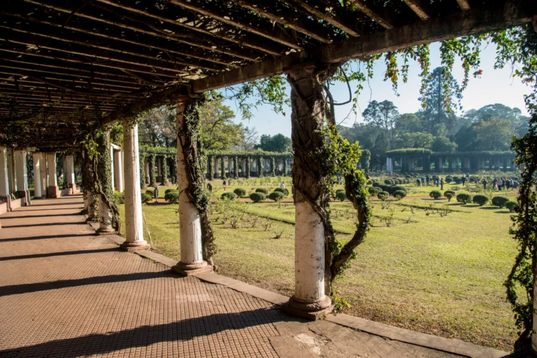 Por decisión de la intendente Chahla, inicia un plan de revalorización integral del Rosedal del Parque 9 de Julio
