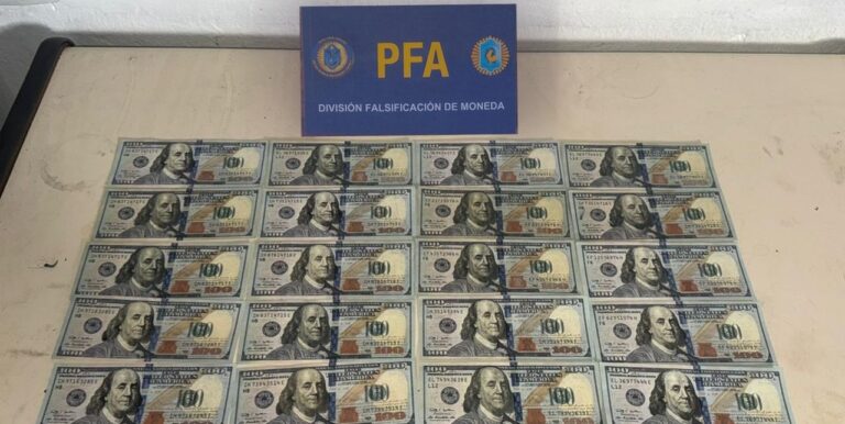 “Los Falsimuladores”: la PFA desbarató una banda que distribuía billetes falsos en Buenos Aires