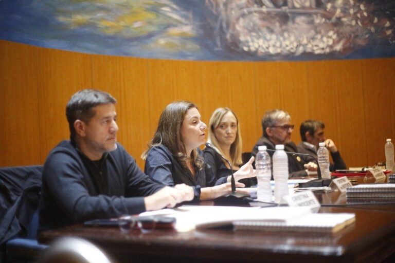 Consejeros de la Magistratura K presentaron un informe sobre las condiciones de detención de Cristina Kirchner
