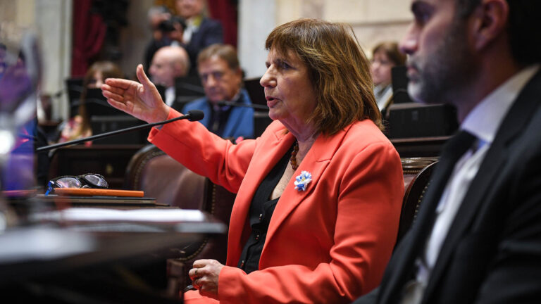 Bullrich y la tensión en el Senado