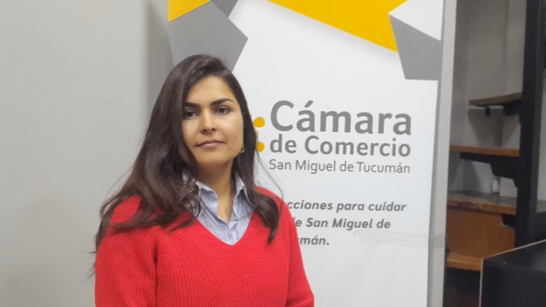 Comercios tucumanos apuestan al Día de la Madre para revertir la caída de ventas