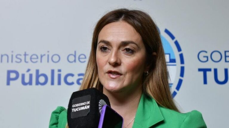 Patitas Tucumán: una iniciativa que combina tecnología y solidaridad para ayudar a encontrar mascotas perdidas
